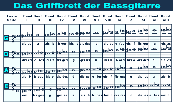Das Bass-Griffbrett / Zuordnung der Notennamen